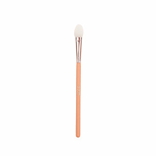 Silicone Brush